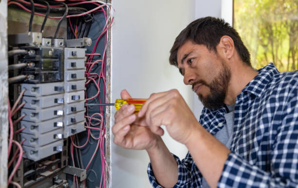 Best Electric Panel Repair  in Shallotte, NC